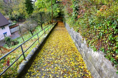 Gottesdienst Uetikon 2013